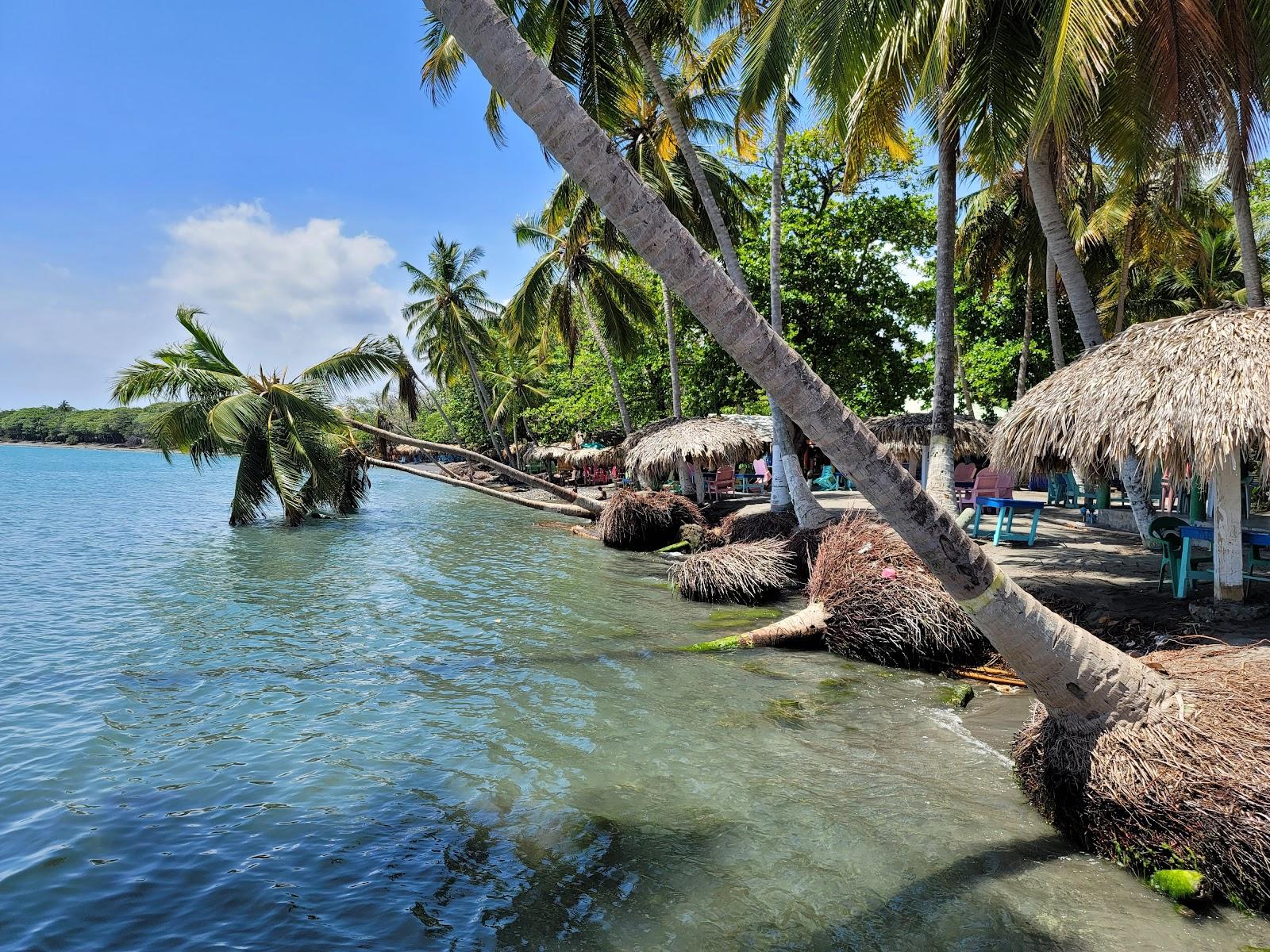 Sandee - Playa Cocolandia