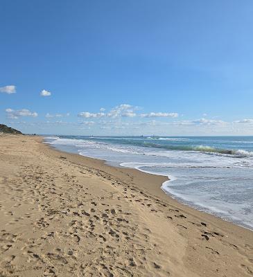 Sandee - Macchitella Beach