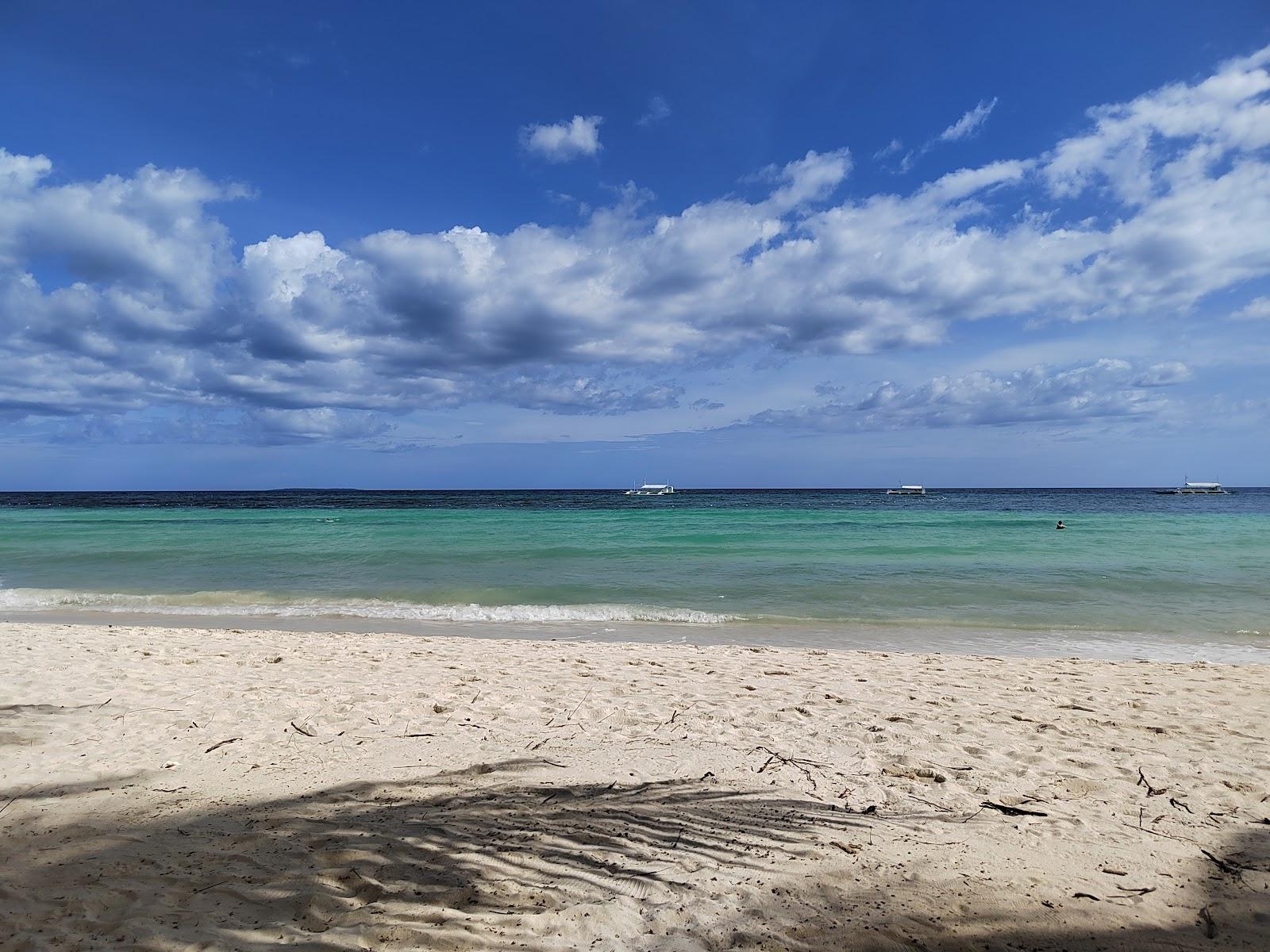 Sandee Beach Of Bohol Photo