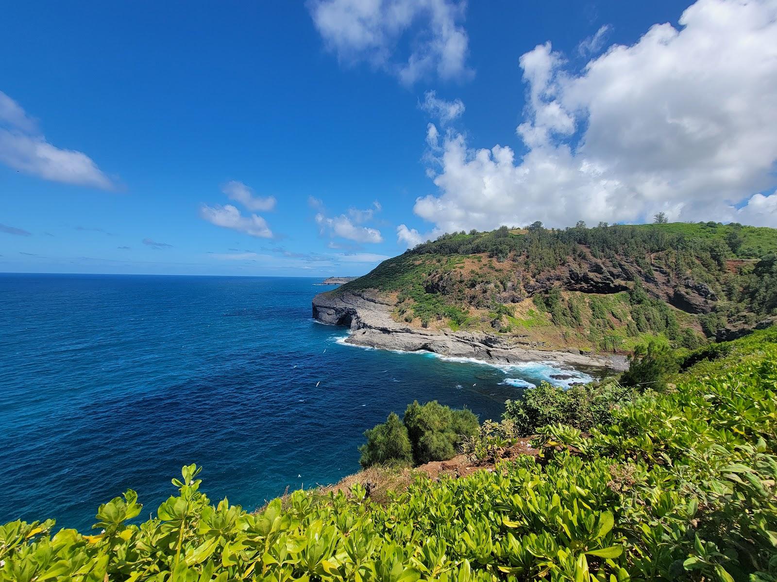 Sandee Kilauea Point