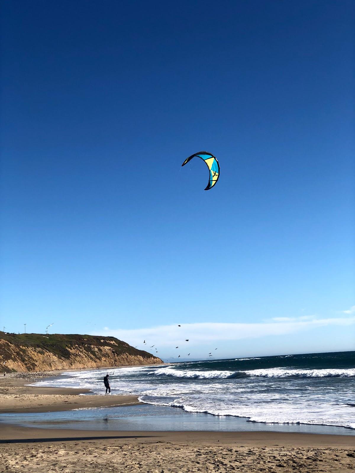 Sandee - Waddell Creek Beach