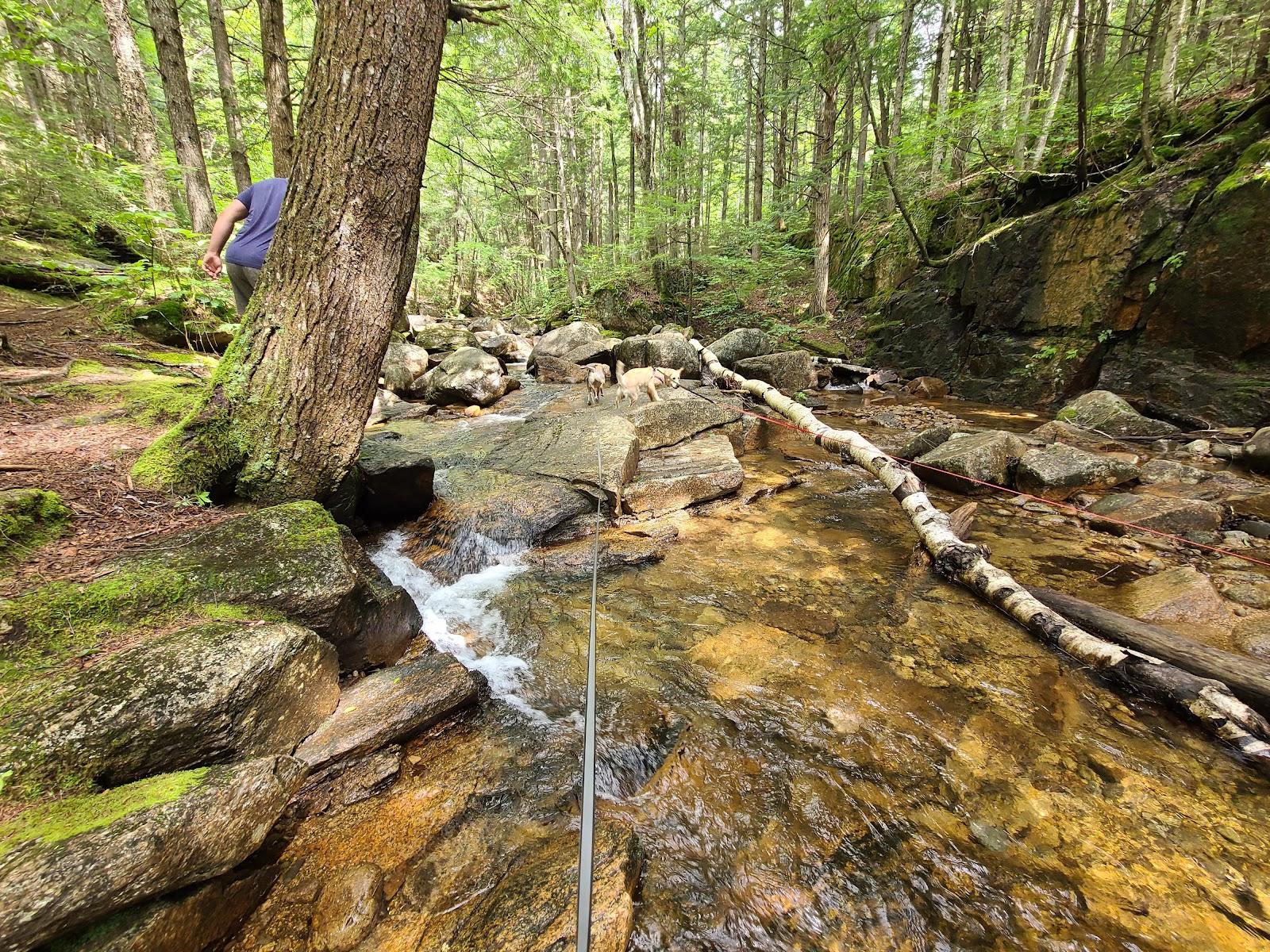 Sandee Smarts Brook Swimming Hole Photo