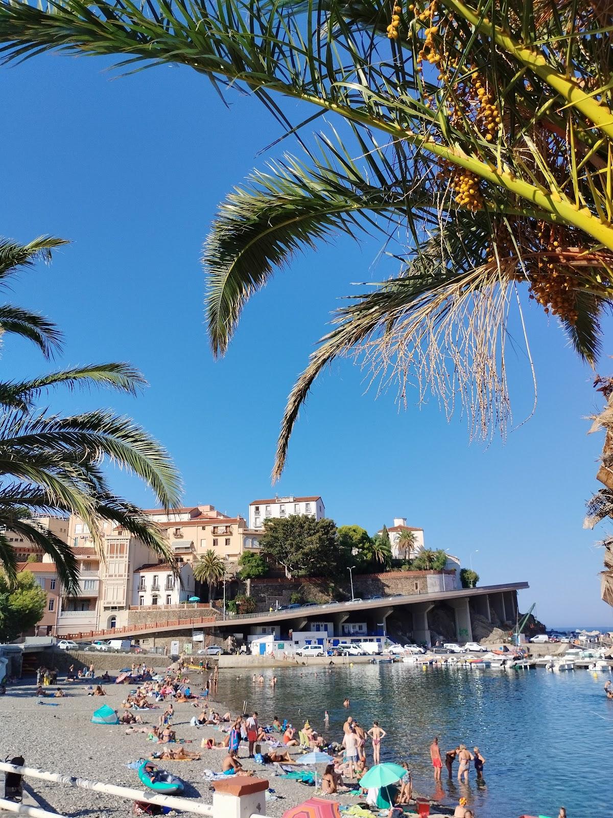 Sandee Plage D'El Saurel Photo