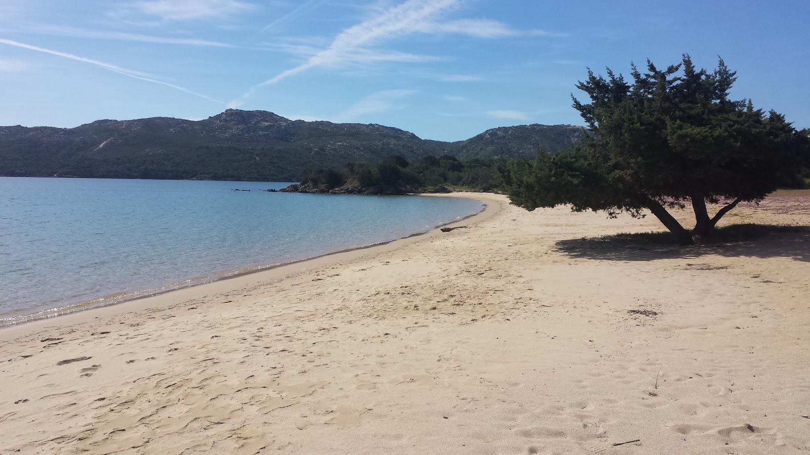 Sandee Spiaggia Di Vena Longa Photo