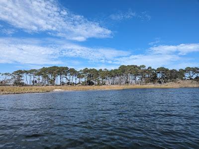 Sandee - Great Egging Beach