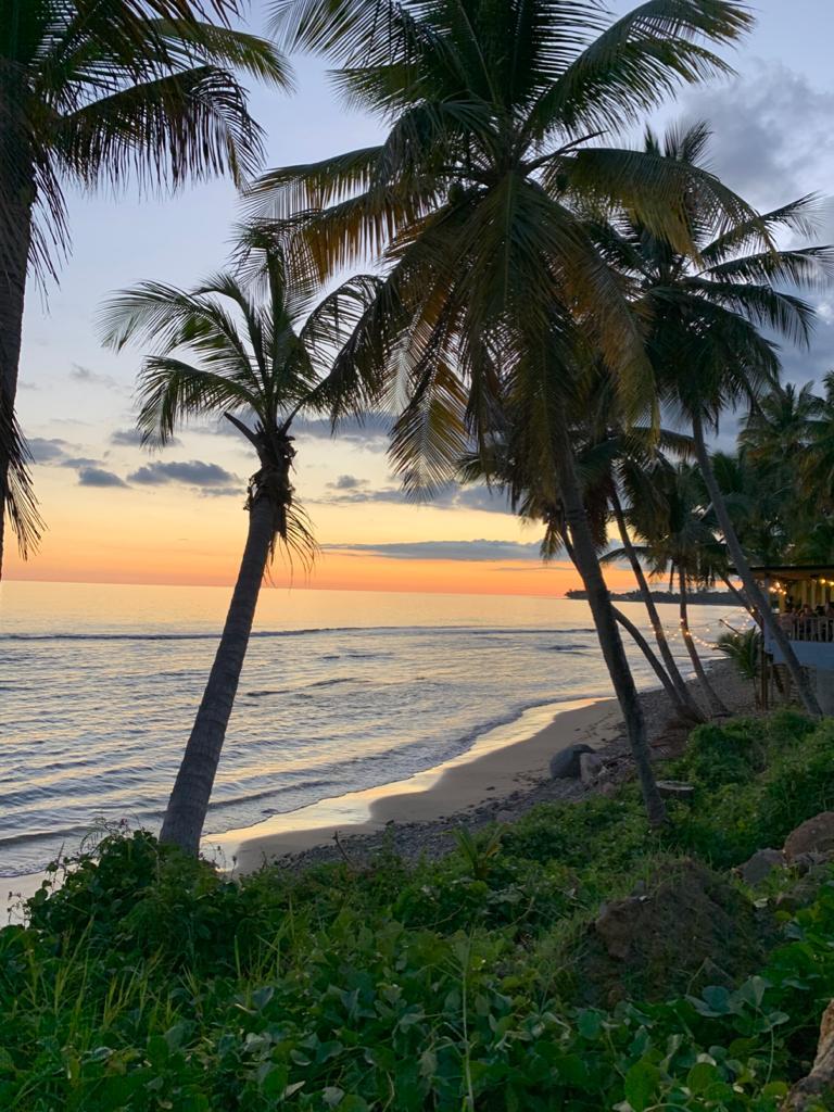 Sandee Playa Mala Pascua Photo