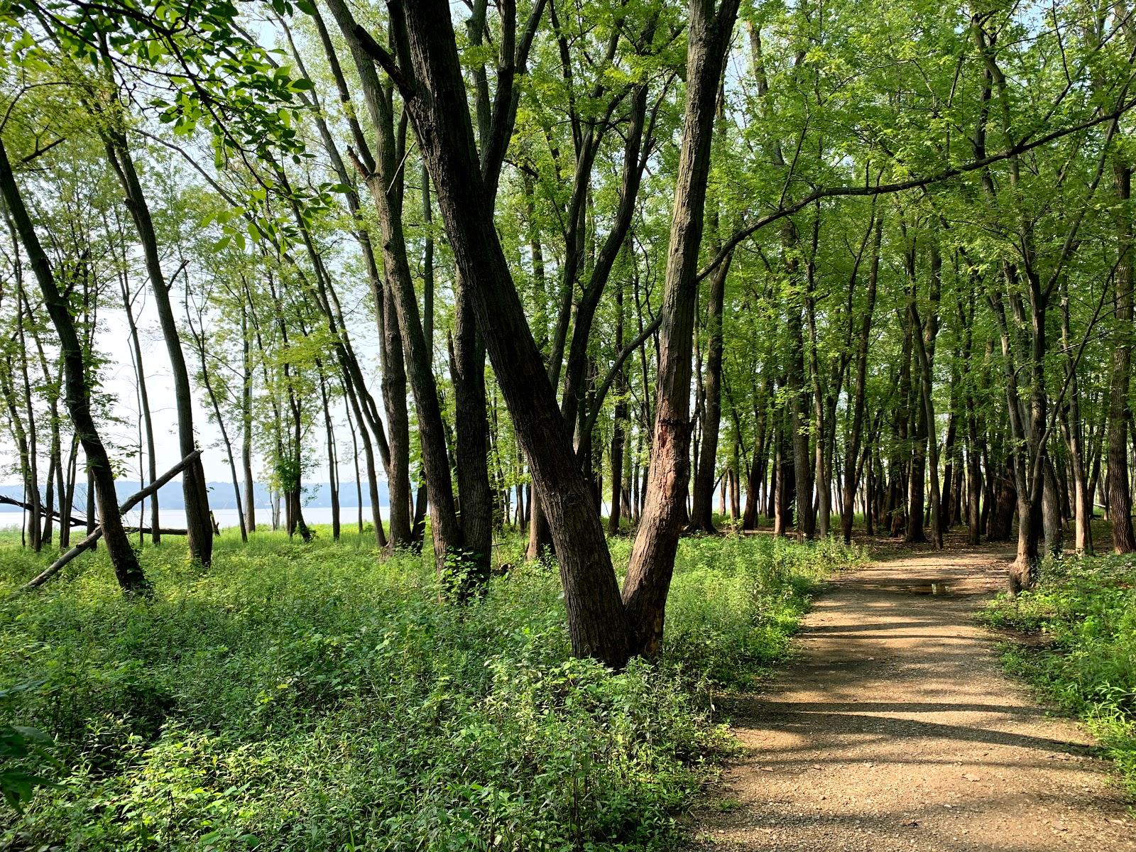 Sandee Cooper Park North