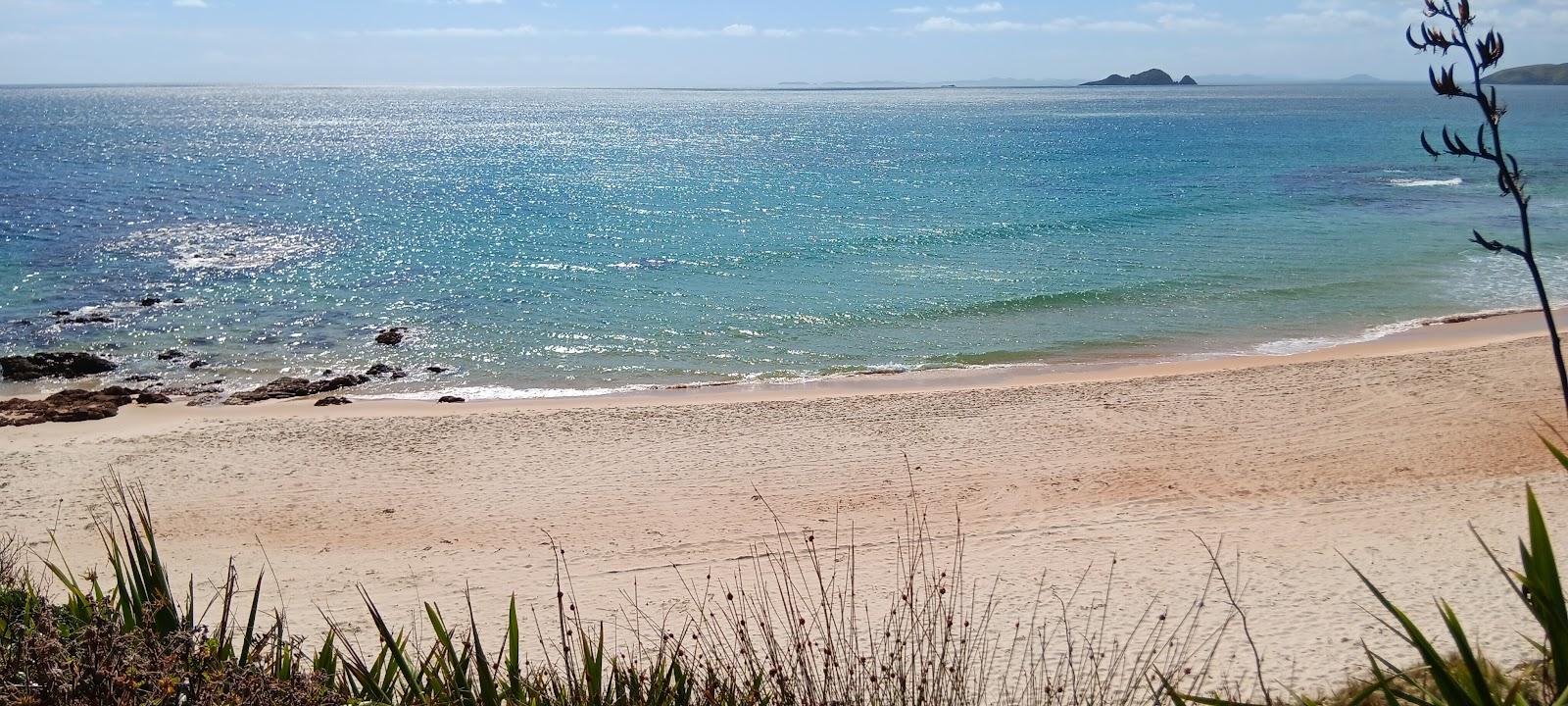 Sandee Hendersons Beach