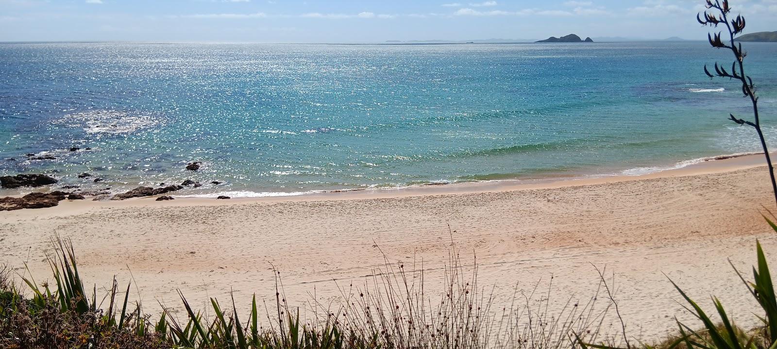 Sandee Hendersons Beach Photo