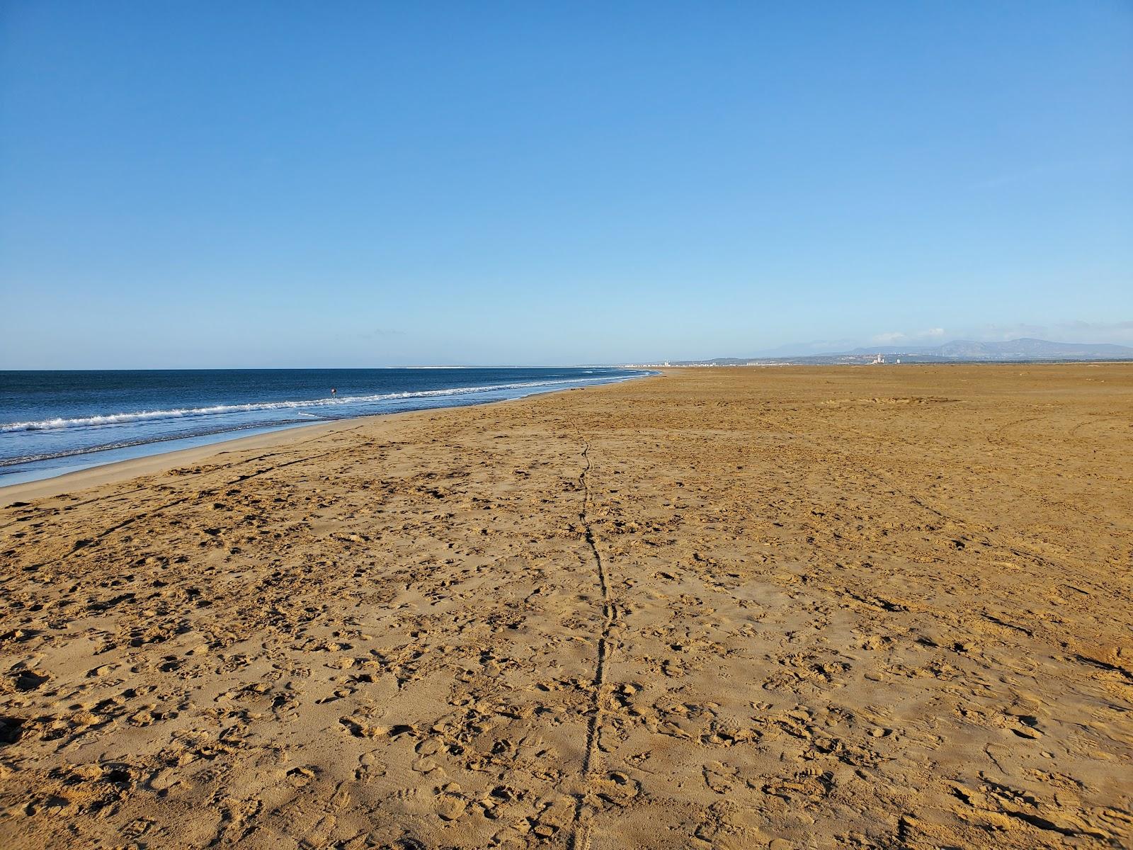 Sandee - Plage de la Vieille Nouvelle