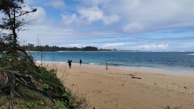 Sandee - Kaipapau Beach