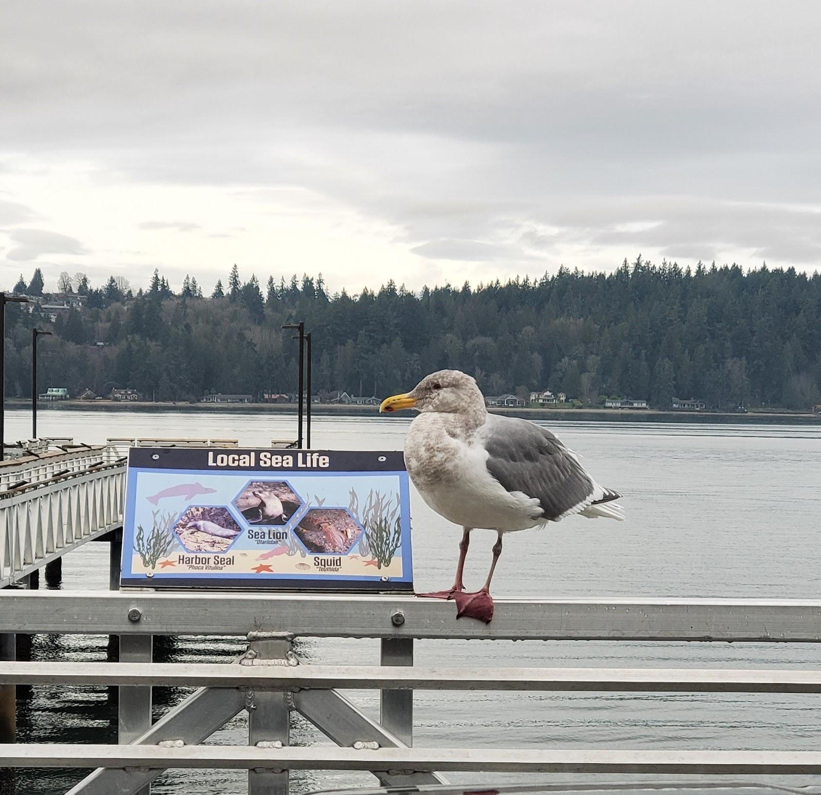 Sandee - Waterman Public Pier