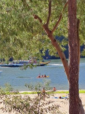 Sandee - Fluvial Da Lomba Beach