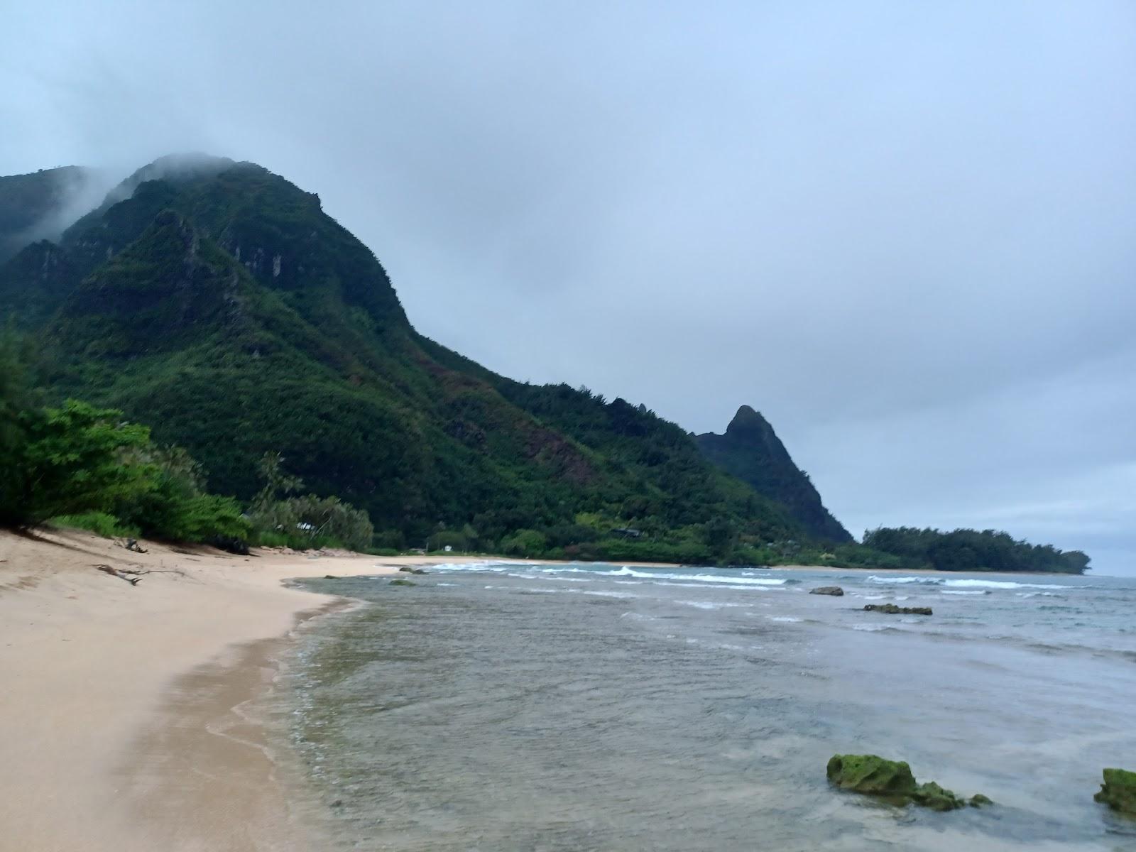 Sandee - Kipu Kai Beach