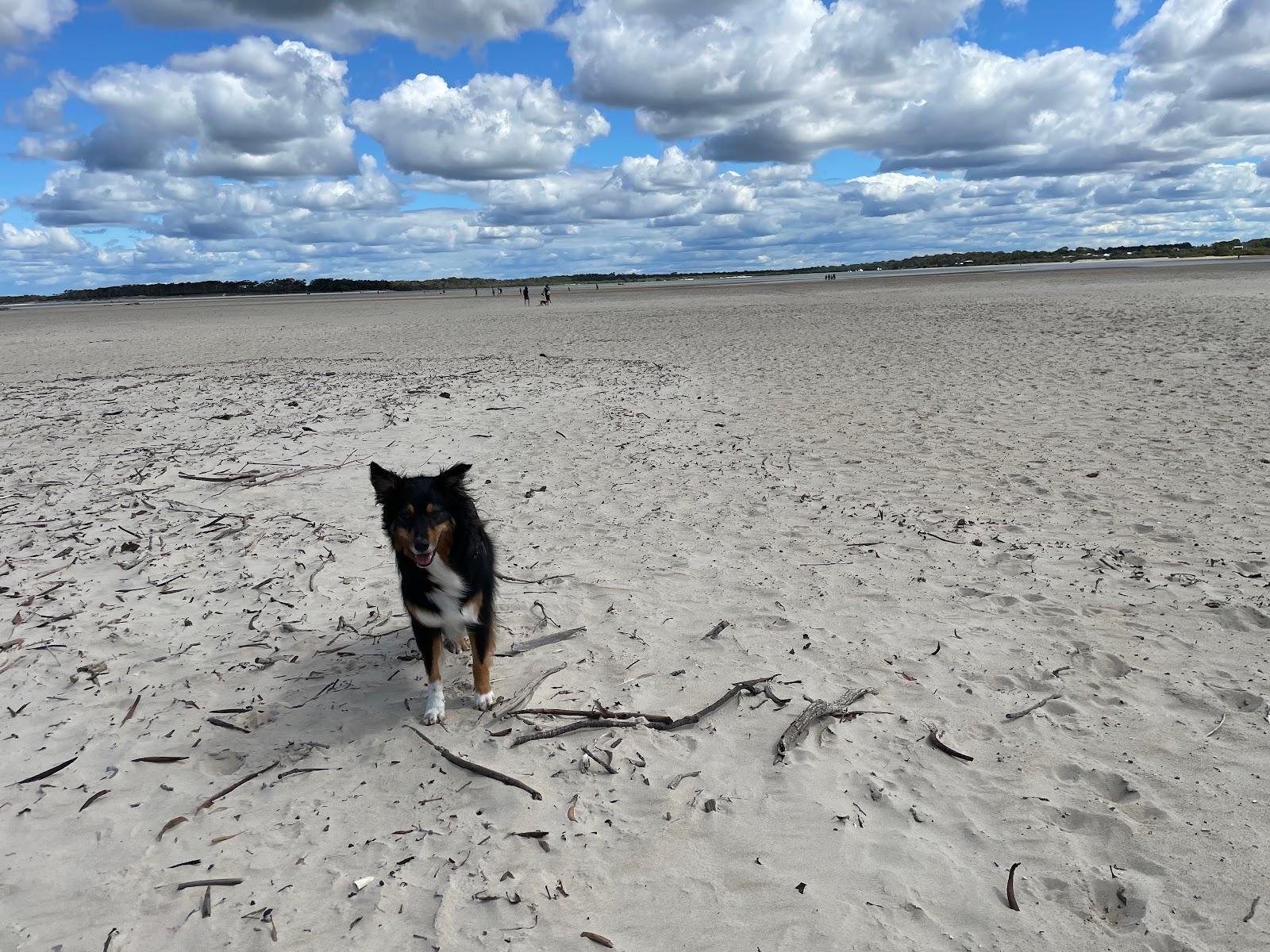 Sandee - Elliot Heads Beach