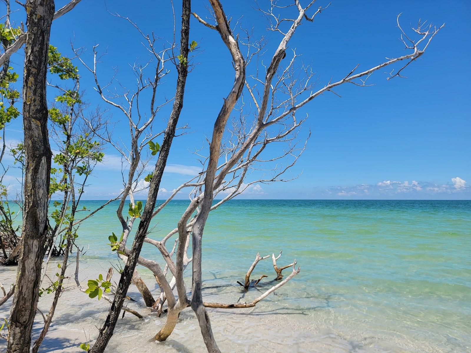 Sandee Caladesi Island State Park Beach Photo