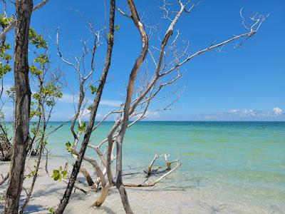 Sandee - Caladesi Island State Park Beach