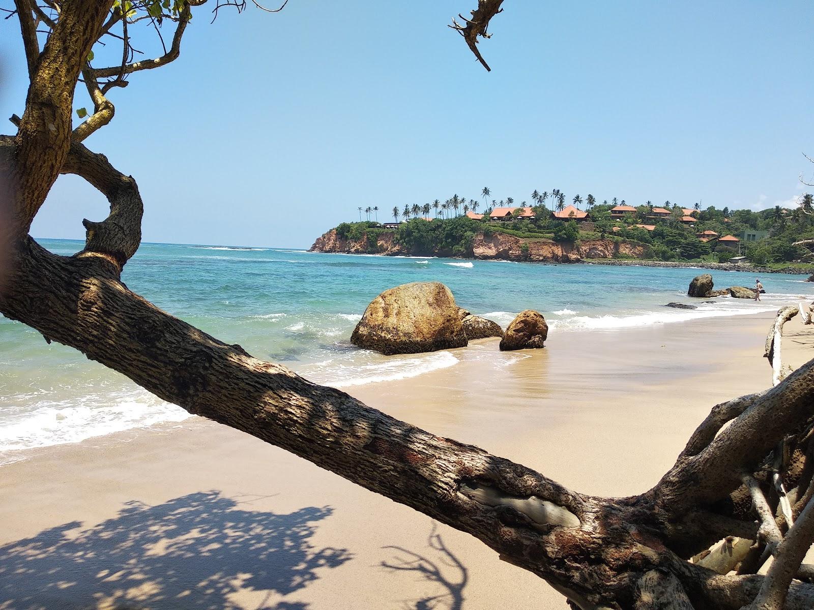 Sandee Secret Jungle Beach