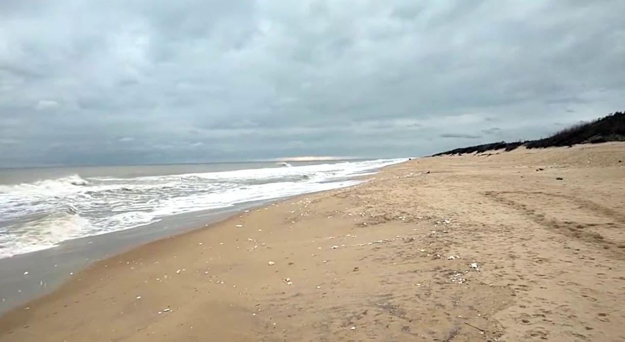Sandee Beleswar Beach