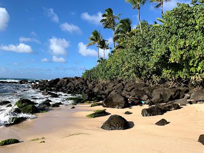 Sandee - Kawailoa Beach