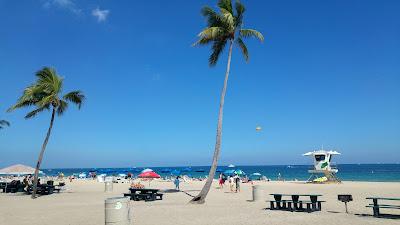 Sandee - Las Olas Beach