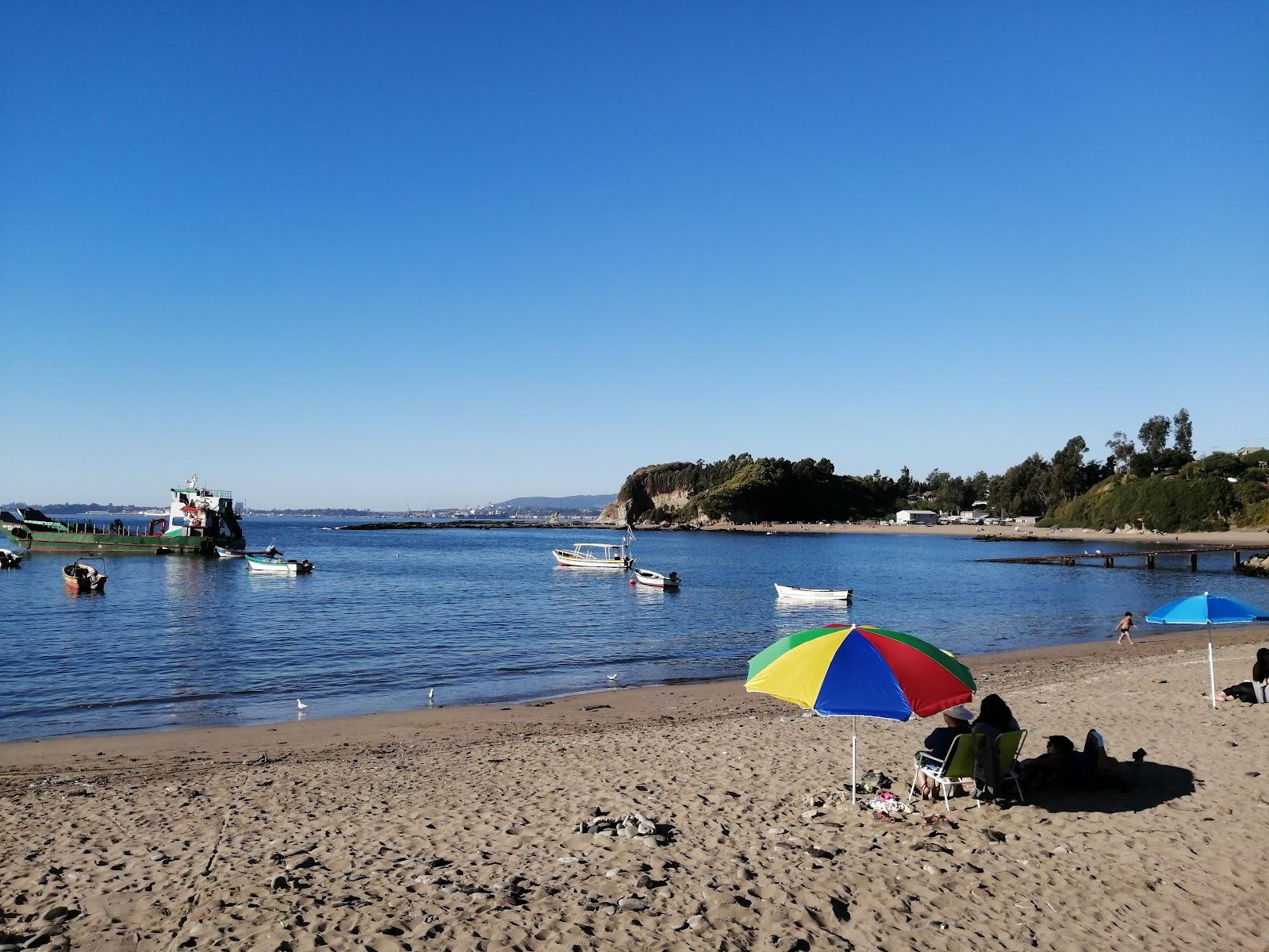 Sandee Cancha Caleta El Blanco