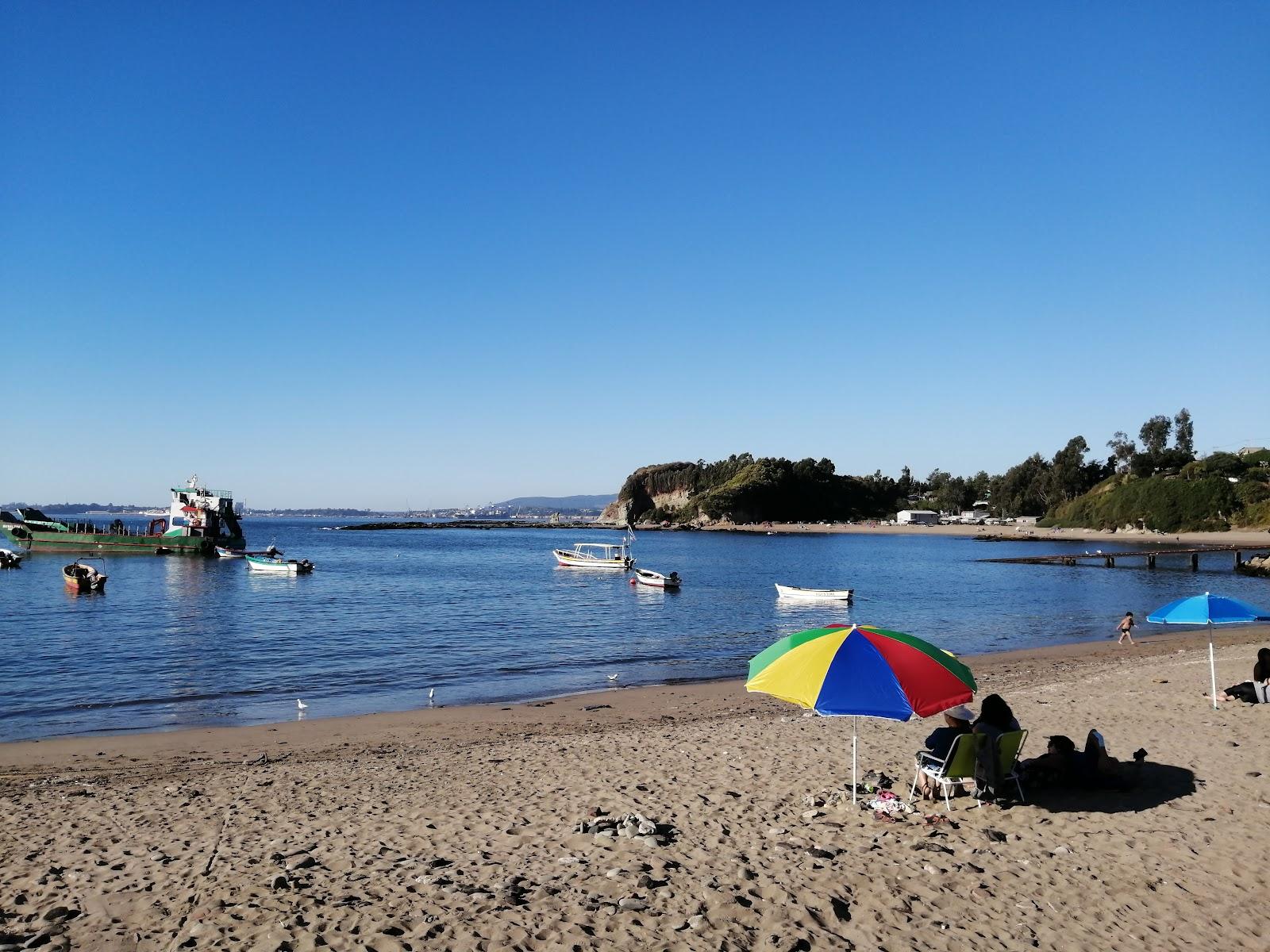 Sandee Cancha Caleta El Blanco Photo