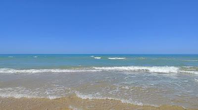 Sandee - Palmeras Beach Di Nicola Calderaro