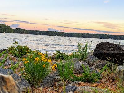 Sandee - Public Shoreline Beach Peninsula Point