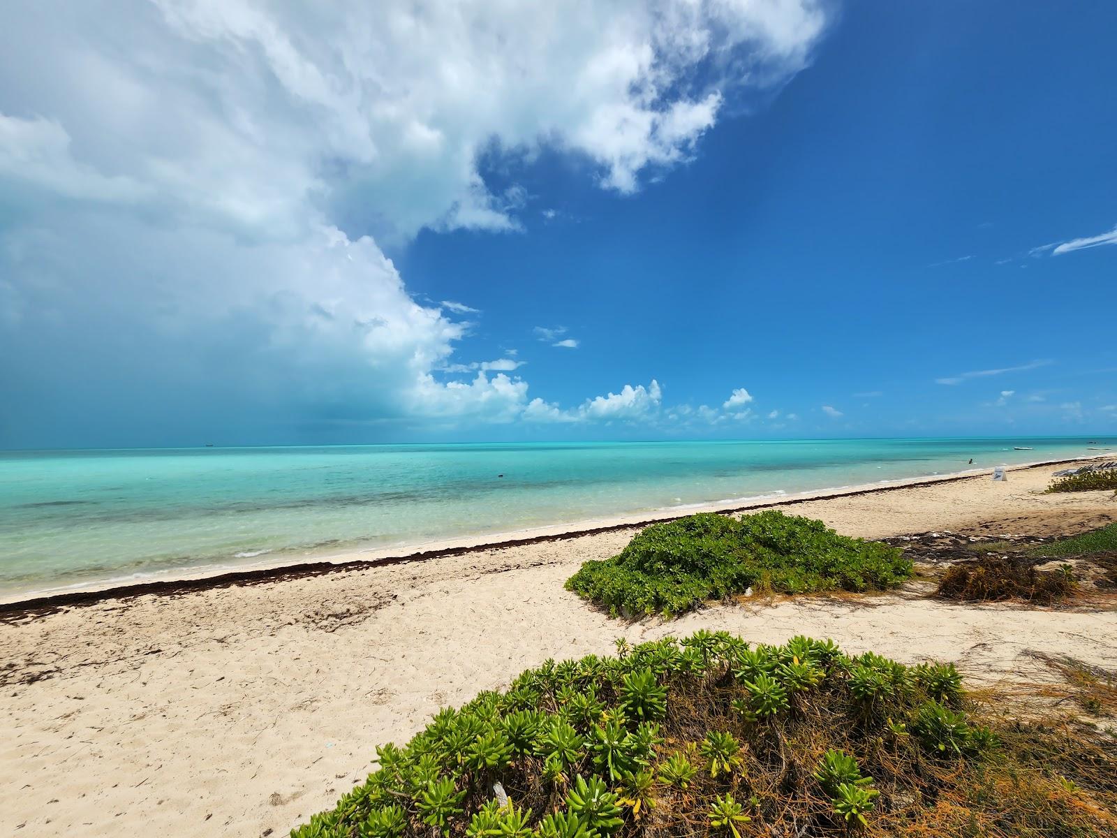 Sandee Long Bay Beach