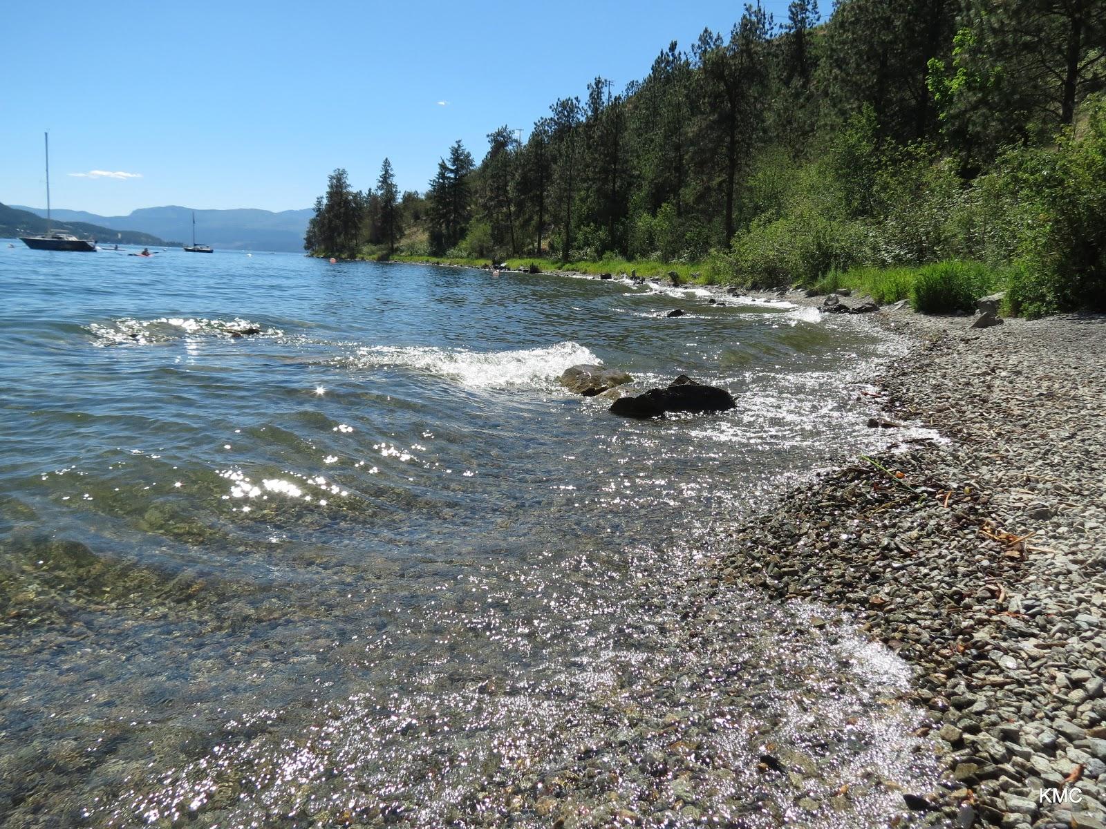 Sandee Foster Road Beach