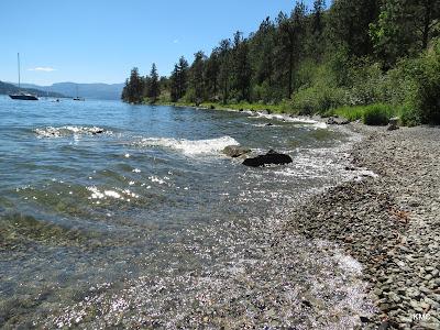 Sandee - Foster Road Beach