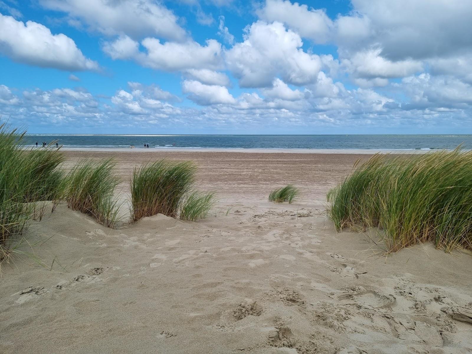 Sandee Renesse Strand