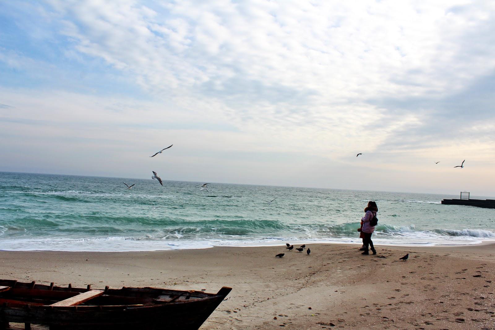 Sandee - Chkalovsky Beach