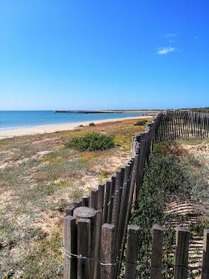 Sandee - Praia Do Forte Da Barra