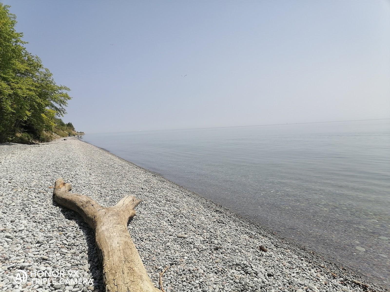 Sandee Kiwanis Beach