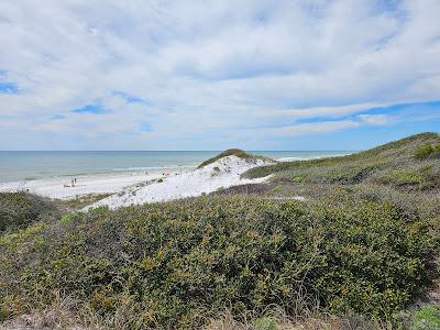 Sandee - Walton Dunes