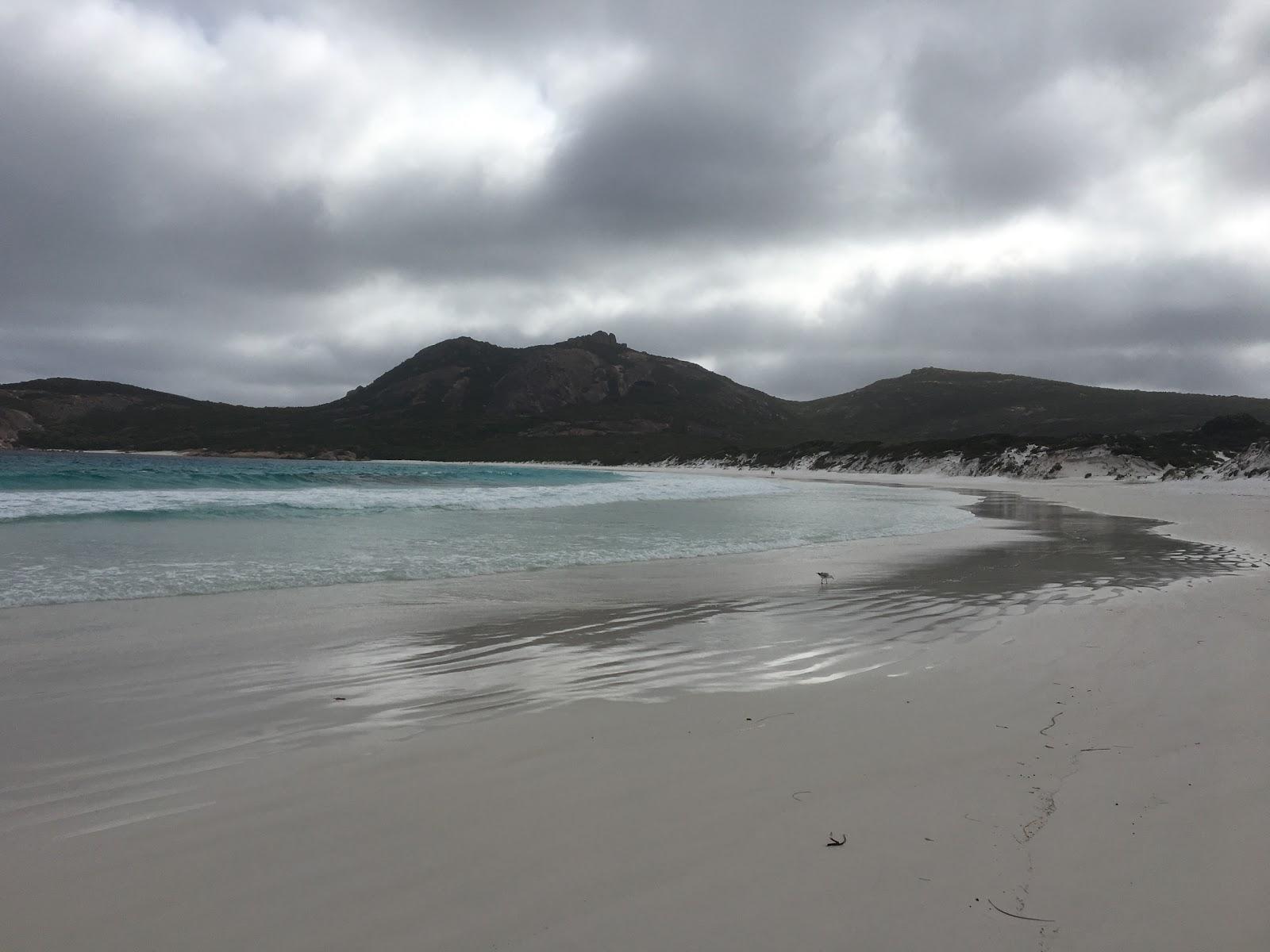 Sandee Thistle Cove