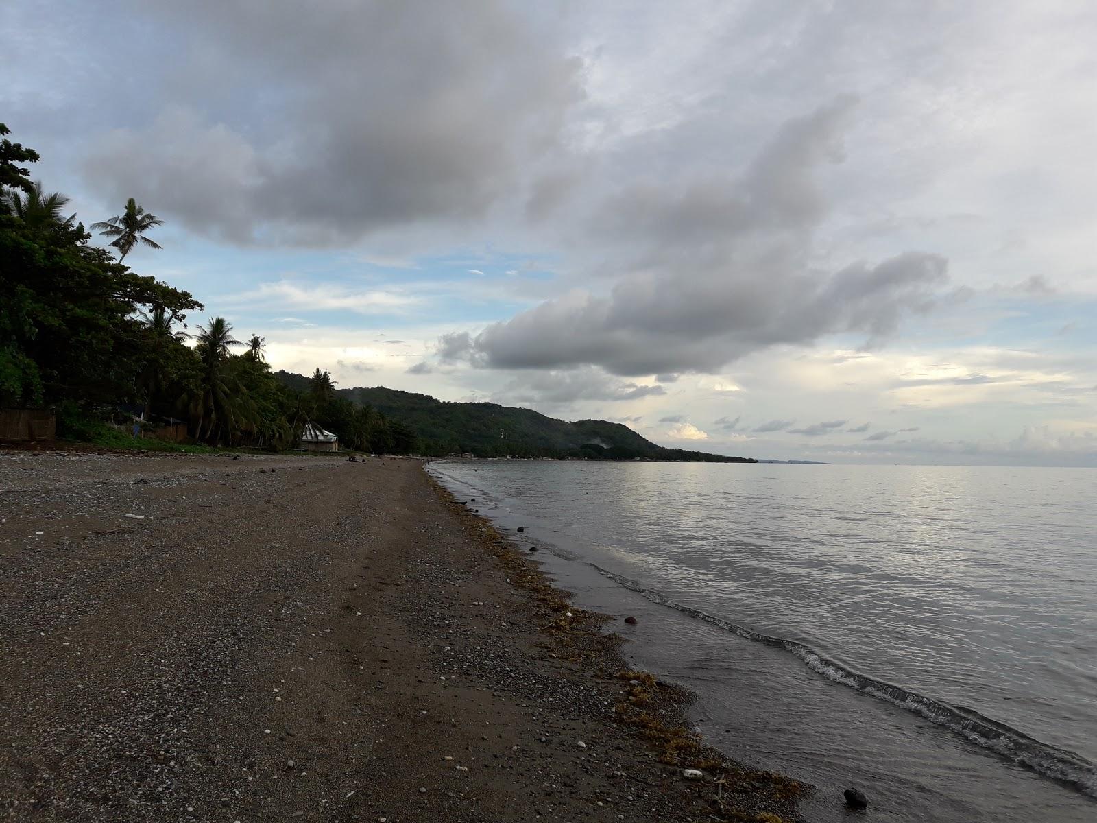 Sandee Rofe's Beach