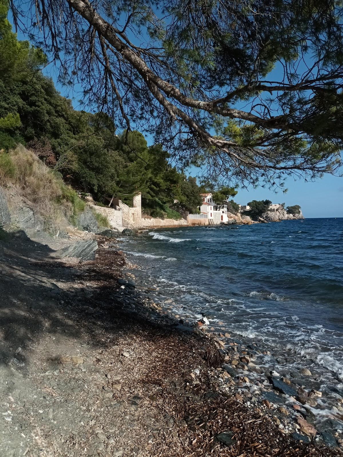 Sandee Plage De La Calade Photo