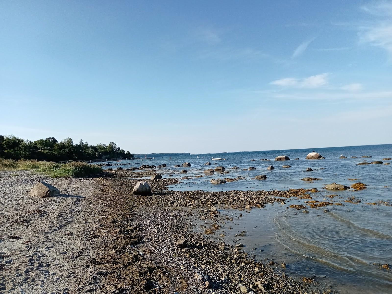 Sandee Løserup Strand Photo