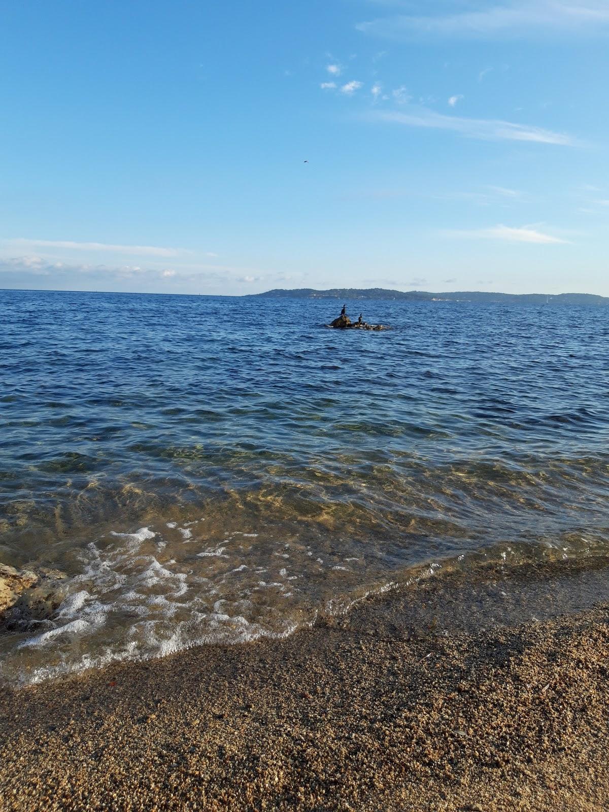 Sandee Plage De Champfleuri