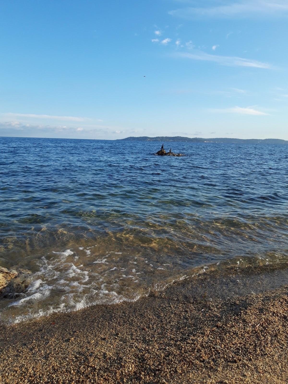 Sandee Plage De Champfleuri Photo