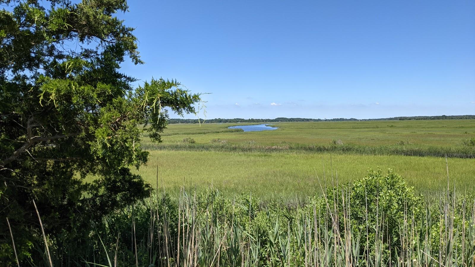Sandee Gordons Pond State Park Area