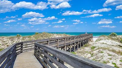 Sandee - Ponce Inlet Beach