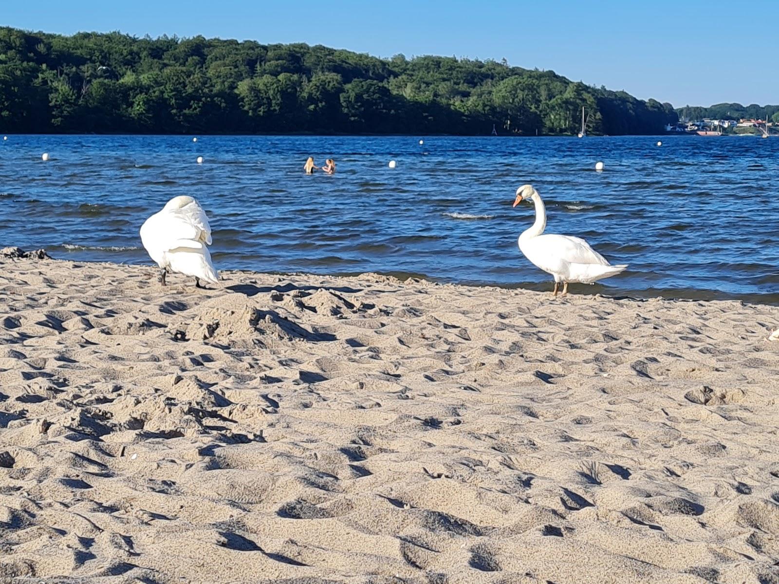 Sandee Strandbad Wassersleben Photo