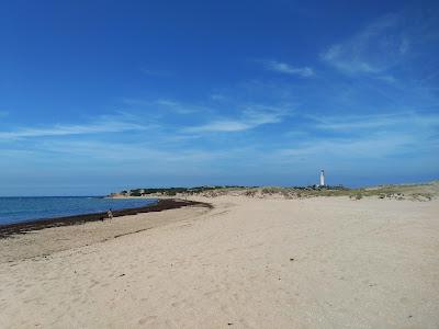 Sandee - Playa De Mari Sucia