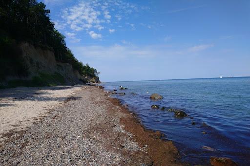 Sandee Diedrichshagen Strand Photo