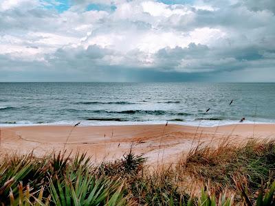 Sandee - Gamble Rogers State Park