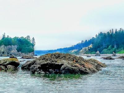 Sandee - Ruby Beach